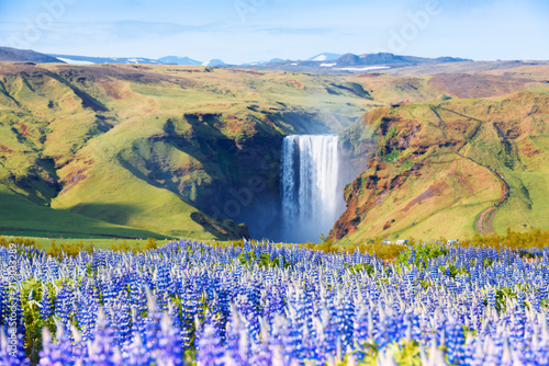 Photos Famous Skogafoss waterfall on Skoga river. Iceland, Europe