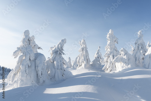 Fantastic winter landscape with snowy trees. Carpathian mountains, Ukraine, Europe. Christmas holiday concept