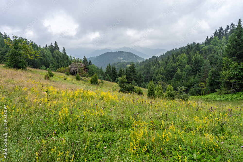 Serbian wild nature landscape on edge of wood