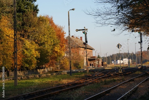 Skwierzyna