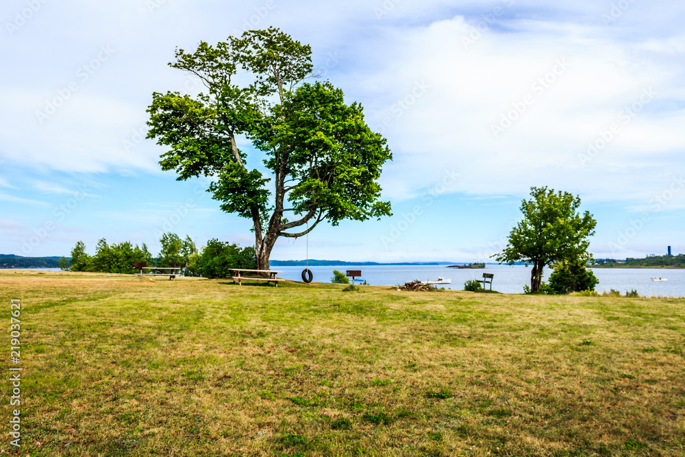 Fototapeta premium Tire Swing and picnic area