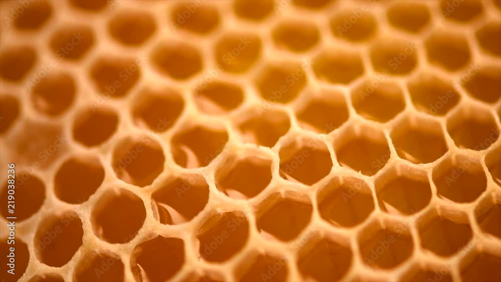 Honeycomb. Honey combs full of fresh organic sweet honey. Healthy food concept. Rotation 4K UHD video 3840X2160 Honeycomb. Honey combs full of fresh organic sweet honey. Healthy food concept. Rotation 4K UHD video 3840X2160