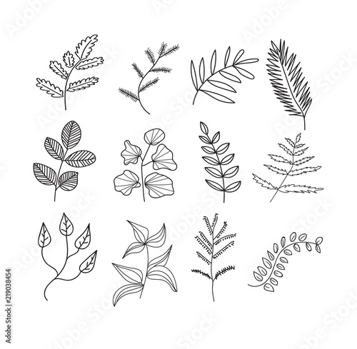 collection of botanical hand drawn doodles. meadow plants and flowers elements. pencil ink sketch of flowers and leaves. vector set of decorative elements. 