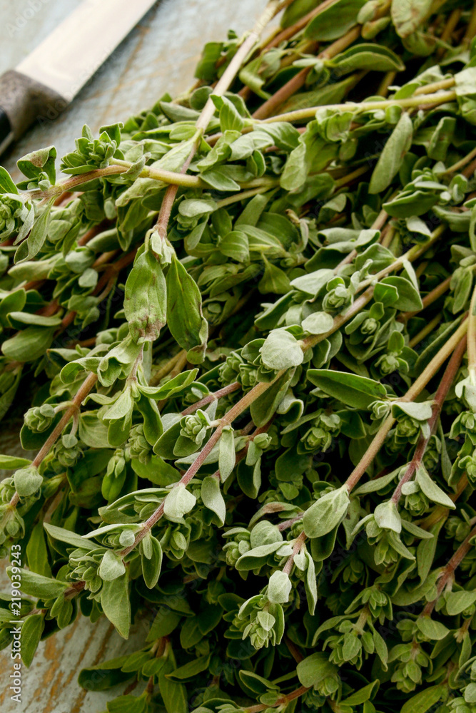 Fototapeta premium preparing fresh herb thyme