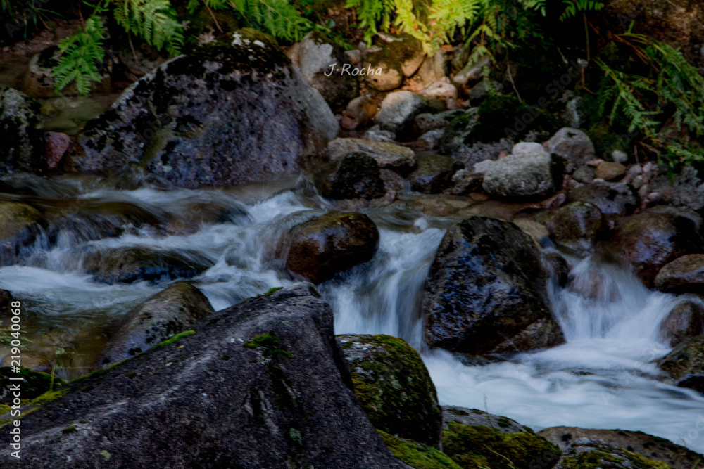 Fototapeta premium Rio Gerês 5