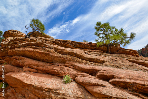 Zion National Park