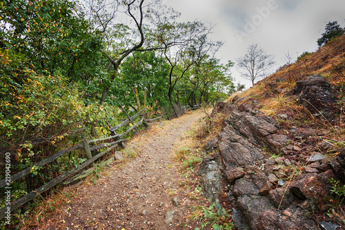 Dirty ground road through a forest on the mount slope