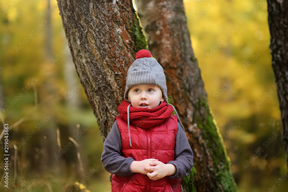 Little boy during stroll in the forest at sunny autumn day Little boy during stroll in the forest at sunny autumn day