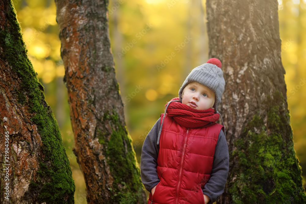 Little boy during stroll in the forest at sunny autumn day Little boy during stroll in the forest at sunny autumn day