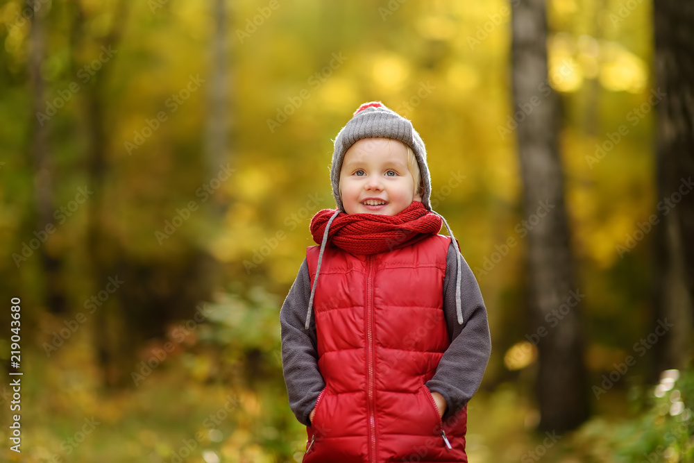 Little boy during stroll in the forest at sunny autumn day Little boy during stroll in the forest at sunny autumn day
