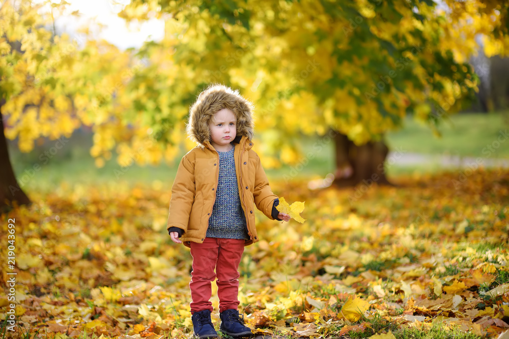 Little boy during stroll in the forest at sunny autumn day Little boy during stroll in the forest at sunny autumn day