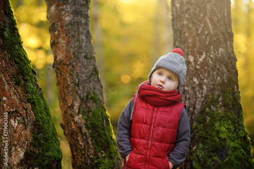 Little boy during stroll in the forest at sunny autumn day