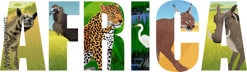 vector Africa illustration with leopard, vulture, Great white heron, striped hyena, caracal and common warthog