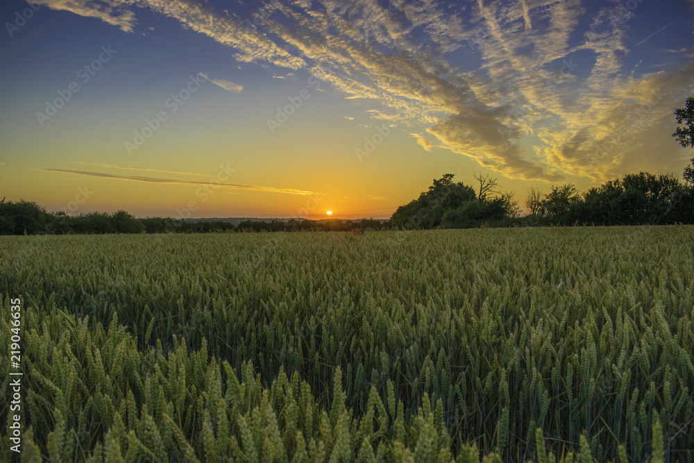 Beautiful sunset in UK