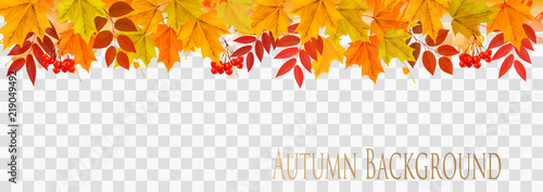Fototapeta Abstrakcjonistyczna jesieni panorama z kolorowymi liśćmi na przejrzystym tło wektorze