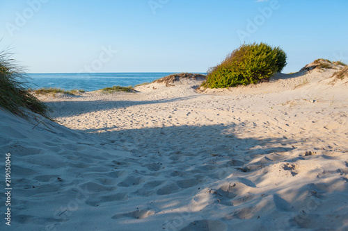 view of the sea and wild sandy beach