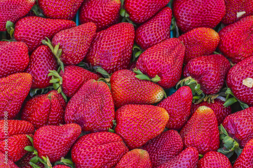 Fresh California strawberries red ripe for eating photo