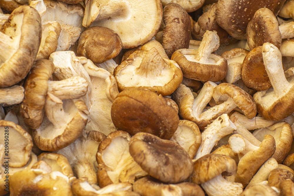 brown Shitake mushrooms at farmer's market in California brown Shitake mushrooms at farmer's market in California