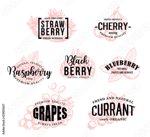 Natural berries vector sketch lettering