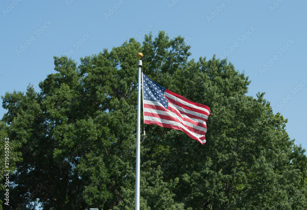 American flag waving in the breeze in front of a full, leafy green tree and a bright blue sky. American flag waving in the breeze in front of a full, leafy green tree and a bright blue sky.