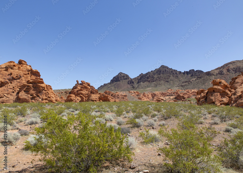 Southern Nevada Red Rocks and Mountains