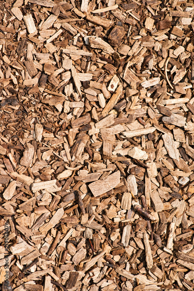 Wooden chips background close up. Used as an organic mulch in gardening, landscaping, restoration ecology, bioreactors for denitrification and as a substrate for mushroom cultivation. Wooden chips background close up. Used as an organic mulch in gardening, landscaping, restoration ecology, bioreactors for denitrification and as a substrate for mushroom cultivation.