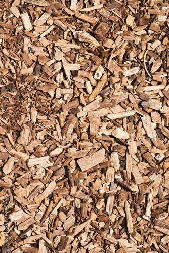 Wooden chips background close up. Used as an organic mulch in gardening, landscaping, restoration ecology, bioreactors for denitrification and as a substrate for mushroom cultivation.