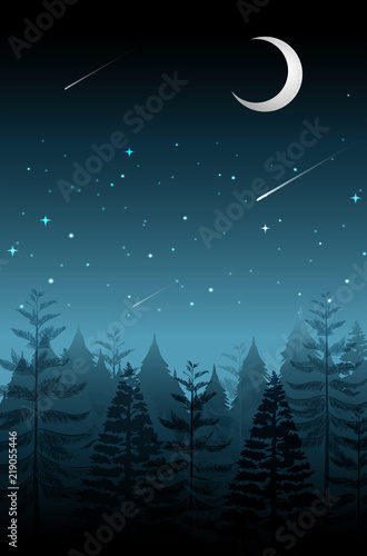 Shooting star on the dark night