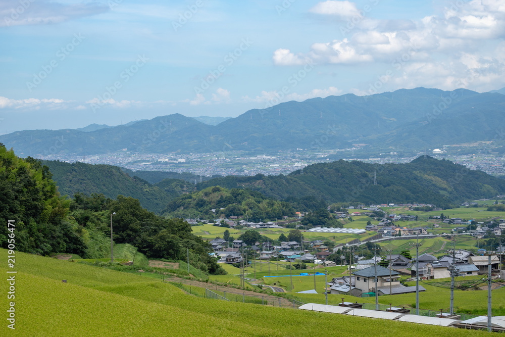 Landscape of countryside,green rice fields and village,Toon city,Ehime,Shikoku,Japan