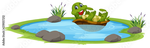 Turtle in the pond
