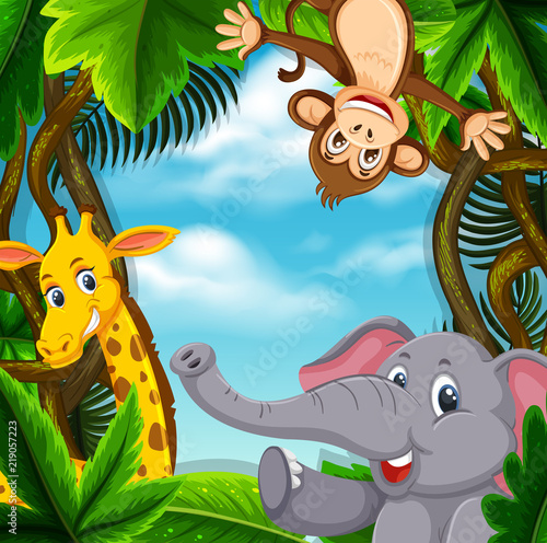 Animals in the jungle