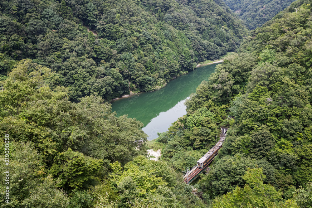 Lida line and green mountain in summer season