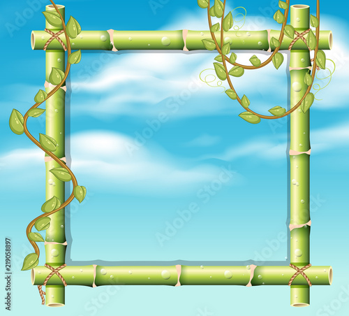A bamboo border on sky