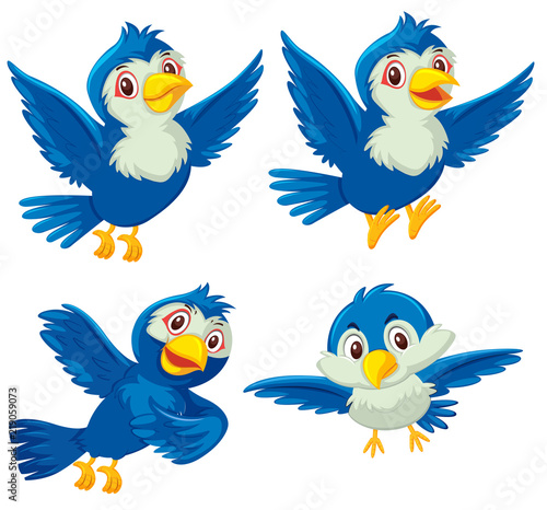 Set of four blue birds
