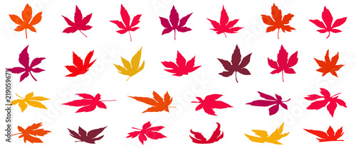 Set of 26 colorful autumn leaves vector illustrations on the white background- momiji leaf