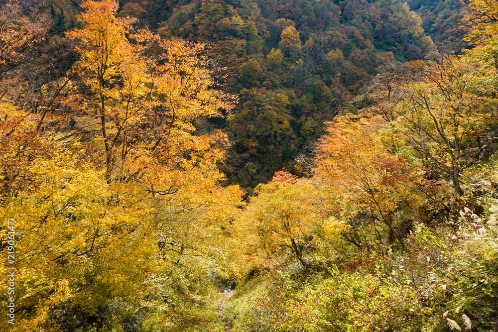 Arimine of autumn leaves season in Toyama Japan. 紅葉シーズンの有峰 日本 富山県富山市 Arimine of autumn leaves season in Toyama Japan. 紅葉シーズンの有峰 日本 富山県富山市