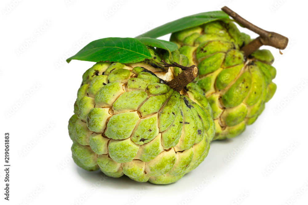 custard apple fruit (Sugar apple fruit) isolate on white background
custard apple fruit (Sugar apple fruit) isolate on white background