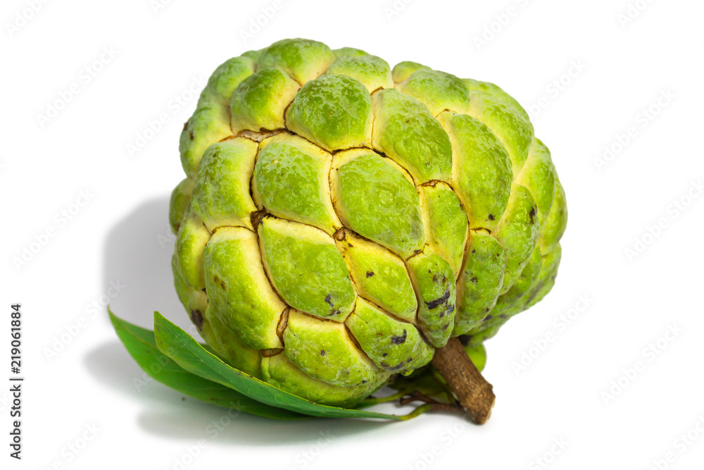 Obraz premium custard apple fruit (Sugar apple fruit) isolate on white background 