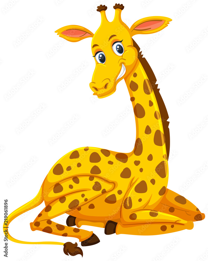 Fototapeta premium A cute giraffe on white background