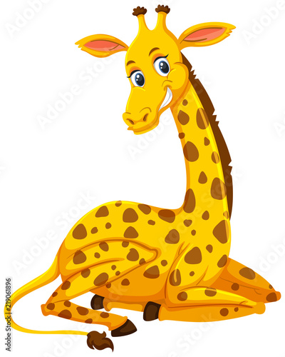 A cute giraffe on white background