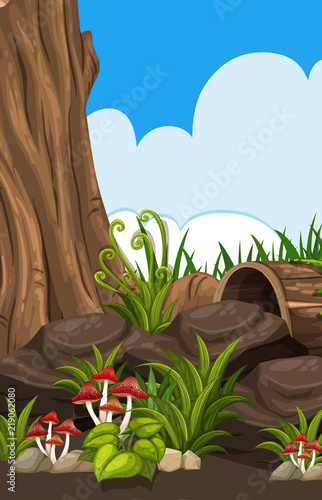 Forest nature scene conept