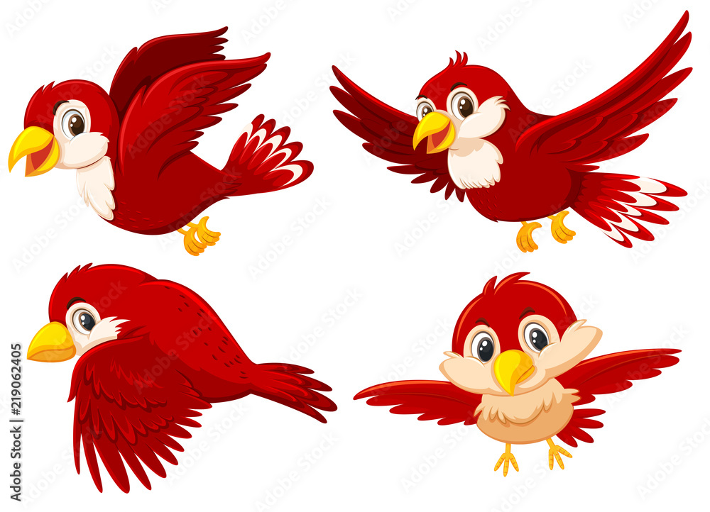 Set of cute red birds Set of cute red birds