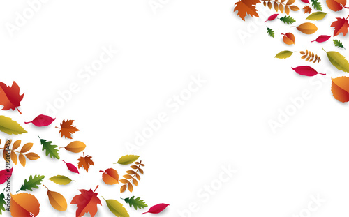 White autumn background with beautiful fallen leaves.