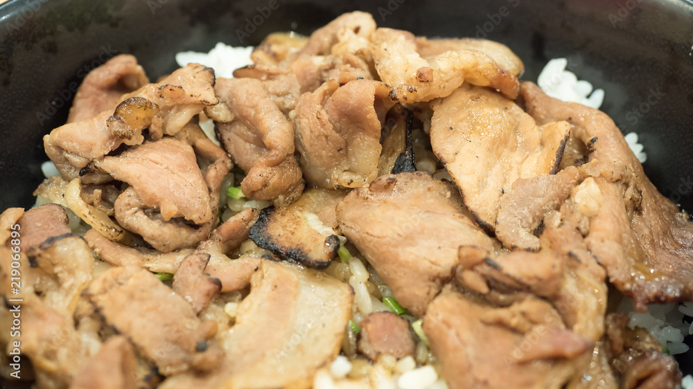 Close up Butadon bowl of rice topped with sliced pork and sweet sauce. Popular japanese menu Close up Butadon bowl of rice topped with sliced pork and sweet sauce. Popular japanese menu