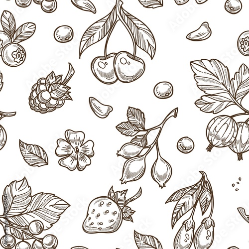 Berries sketch pattern vector seamless background