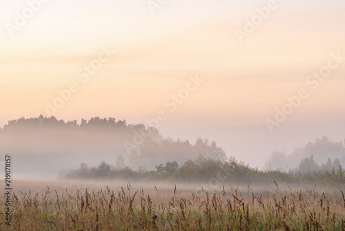 picturesque view of valley with trees at foggy sunrise 