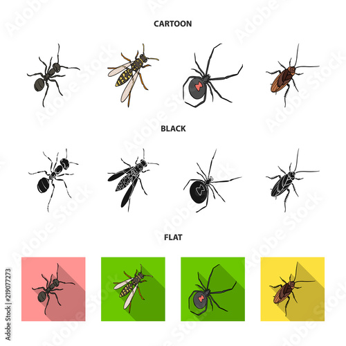 An insect arthropod, an osa, a spider, a cockroach. Insects set collection icons in cartoon,black,flat style vector symbol stock isometric illustration web.