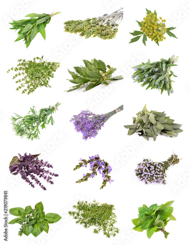 Set of fresh herbs   on an isolated white background