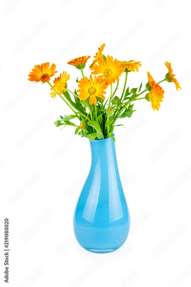 Calendula (Marigold) flowers in blue ceramic vase Calendula (Marigold) flowers in blue ceramic vase
