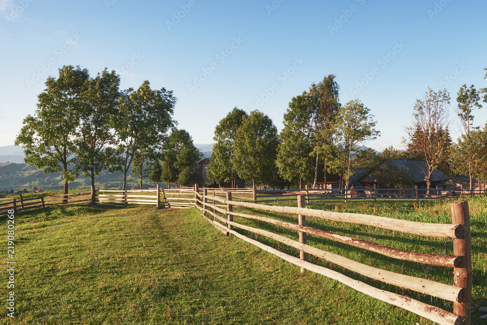 Beautiful summer mountain landscape at sunshine.View of the meadow fenced fence and cows grazing on it
